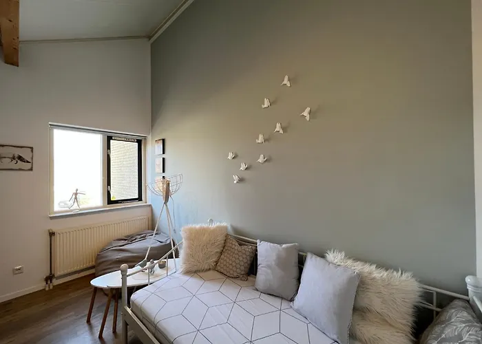 Zilte Kust Tatil Evi Julianadorp