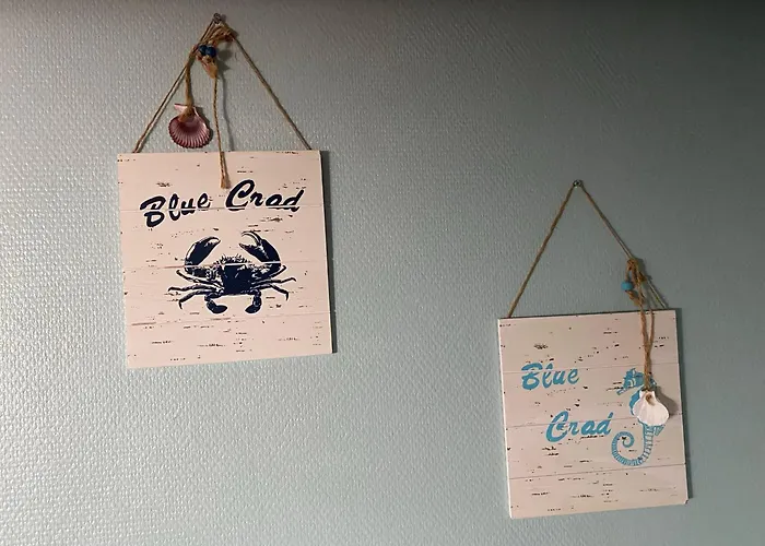 Tatil Evi Zilte Kust